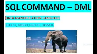 Sql Commnad - DML Data Manipulation language.  #Postgresql #Sql #Freshers