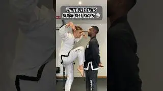 WHITE BELT TRIES BLACK BELT KICKS