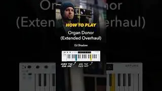 Learn How to Play “Organ Donor” by DJ Shadow 🎧