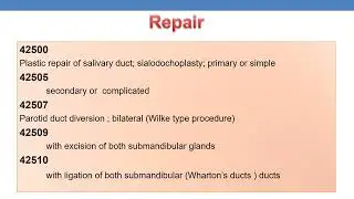 2023 CPT CODING GUIDELINES SURGERY  DIGESTIVE SYSTEM PART 2B
