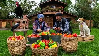 🌶️ Bell Pepper Harvest Making Country Style Bell Pepper Paste