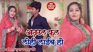 Vishal Gupta, Aabha Chaubey का सुपर हिट देवी गीत | अड़हुल फुल लोरी लाइब हो | New Mata Song 2019