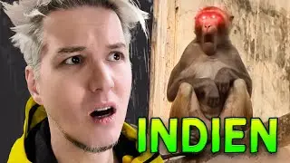 5 unglaubliche Dinge, die ich in INDIEN erlebt habe