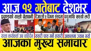 Today news 🔴 nepali news | aaja ka mukhya samachar, nepali samachar live | Falgun 11 gate 2080