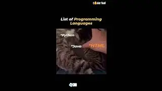 programming language #LearnToCode #ProgrammerLife #PythonCoding #JavaScript #JavaDeveloper