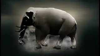 Ai generated video | Ai animation artwork | AI art | Ai animals