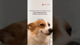 "Satışlarımızdan Çok Memnunuz" Diyen Müşteriye Karşı Reklam Departmanımız