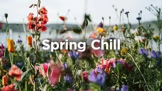 Spring Chill Mix 🌸 Relaxing Tracks for Your Springtime 🌼