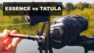 ЛУЧШИЙ БЮДЖЕТНЫЙ МУЛЬТИПЛИКАТОР 2024. Cadence Essence против DAIWA TATULA. Скиппинг и прочие забросы