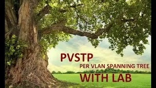 6. Concept  of Per VLAN Spanning Tree [WIth LAB]