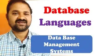 Database Languages in DBMS || DBMS languages || Data Base Management Systems