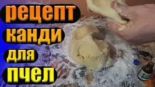 Рецепт канди из меда и сахарной пудры для пчел. Приготовление канди с лекарством рецепт без химии