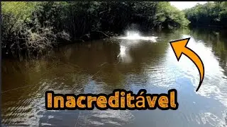 Explosão de Tucunaré na Hélice nunca vi isso! Inacreditável Rio Itapara