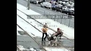 Мальчик с собакой помогли застрявшей на рельсах бабушке-инвалиду