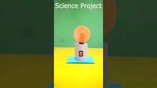 Easy Science Project | 6th Class Science Project Work | Science Working Model #shorts