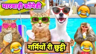 देसी जानवरों की गर्मियों की छुट्टी स्पेशल मारवाड़ी कॉमेडी | Funny Animal Marwadi Dubbing Comedy 2023