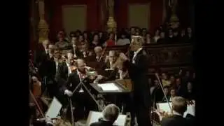 Mahler   Symphony No.5  I Trauermarsch 1-5 (Leonard Bernstein, VPO)