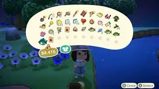 When your Animal Crossing shenanigans are too much