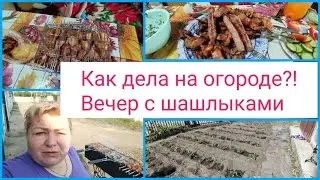 🌿Огородный влог/🤔От кого сюрприз?/😉Что и как растет?!/👍В конце рабочего дня шашлычки/