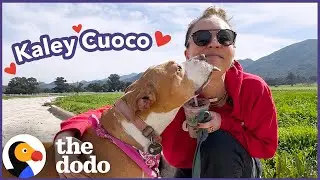 Kaley Cuoco Goes on A Dodo Dream Date | The Dodo