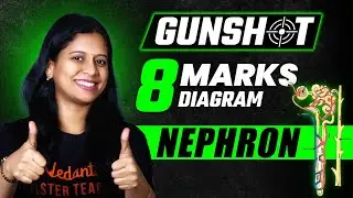 Nephron Diagram Simple Trick | 8 Marks Booster | SSC | TS & AP Board | CBSE | Sunaina Ma'am