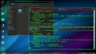 How To Convert MP4 To Animated GIF In Linux