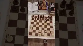 Crazy Opening Trap Leads to Mate in 4 - Danish Gambit