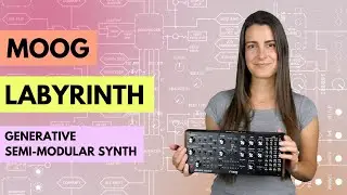 Moog Labyrinth Semi-Modular Synth: Overview + Explorations