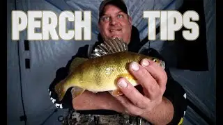 Perch Fishing Tips & Tactics (Lures, Bait & Jigging Cadence)