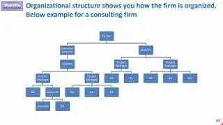 Organizational Chart – why you have to analyze it and how you can use it