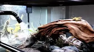 Бренд REPTI-ZOO - аксессуары для террариумов