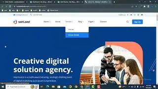 How to create a digital marketing agency wordpress website with wetland theme
