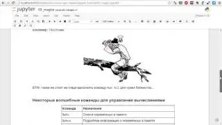 Волшебные команды Jupyter Notebook (Magics)