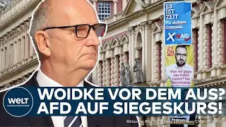 LANDTAGSWAHLEN BRANDENBURG: AfD auf Platz 1! Wagenknecht-Bündnis lässt Grüne hinter sich!