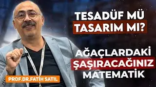 Tesadüf mü Tasarım mı? Ağaçların Su Borularındaki Kusursuz Matematiğin İzleri. Prof. Dr. Fatih Satıl