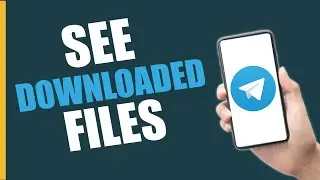 How to See Downloaded Files in Telegram   2024