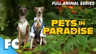 Pets In Paradise (6/26) | Season 1 Episode 6: Bow-Wow Vows | Full Animal TV Show | FC