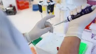 Training | Laboratory Research