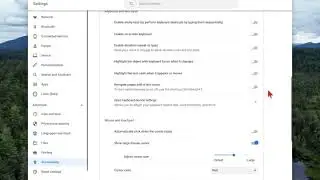 Chromebook: How to change Mouse cursor size and color