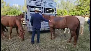 Miami, Florida Rodeo 2023