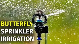 Butterfly Water Sprinkler Irrigation System | Agriculture Irrigation System