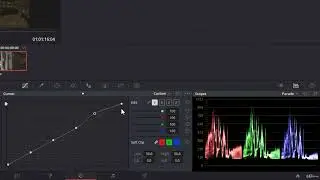 Davinci Reolve Tutorial 156 More Options in Curves