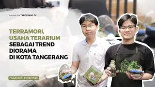 Terramori Usaha Terarium Sebagai Trend Diorama di Kota Tangerang [TangerangTV]