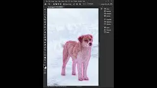 Content-aware move tool in Photoshop #photoshoptutoria #photoediting #graphicdesign