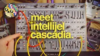 Intellijel Cascadia Synth Demo