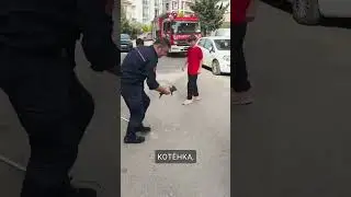 Стамбульские пожарные спасли котёнка уникальным способом. 
