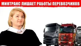 Минтранс, где дозволы? Зачем уничтожают белорусских перевозчиков?