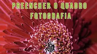 Preencher o quadro - Fotografia