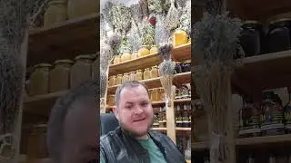 масло артишока от камней в желчном