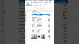 comment supprimer efficacement des DOUBLONS sur Excel 